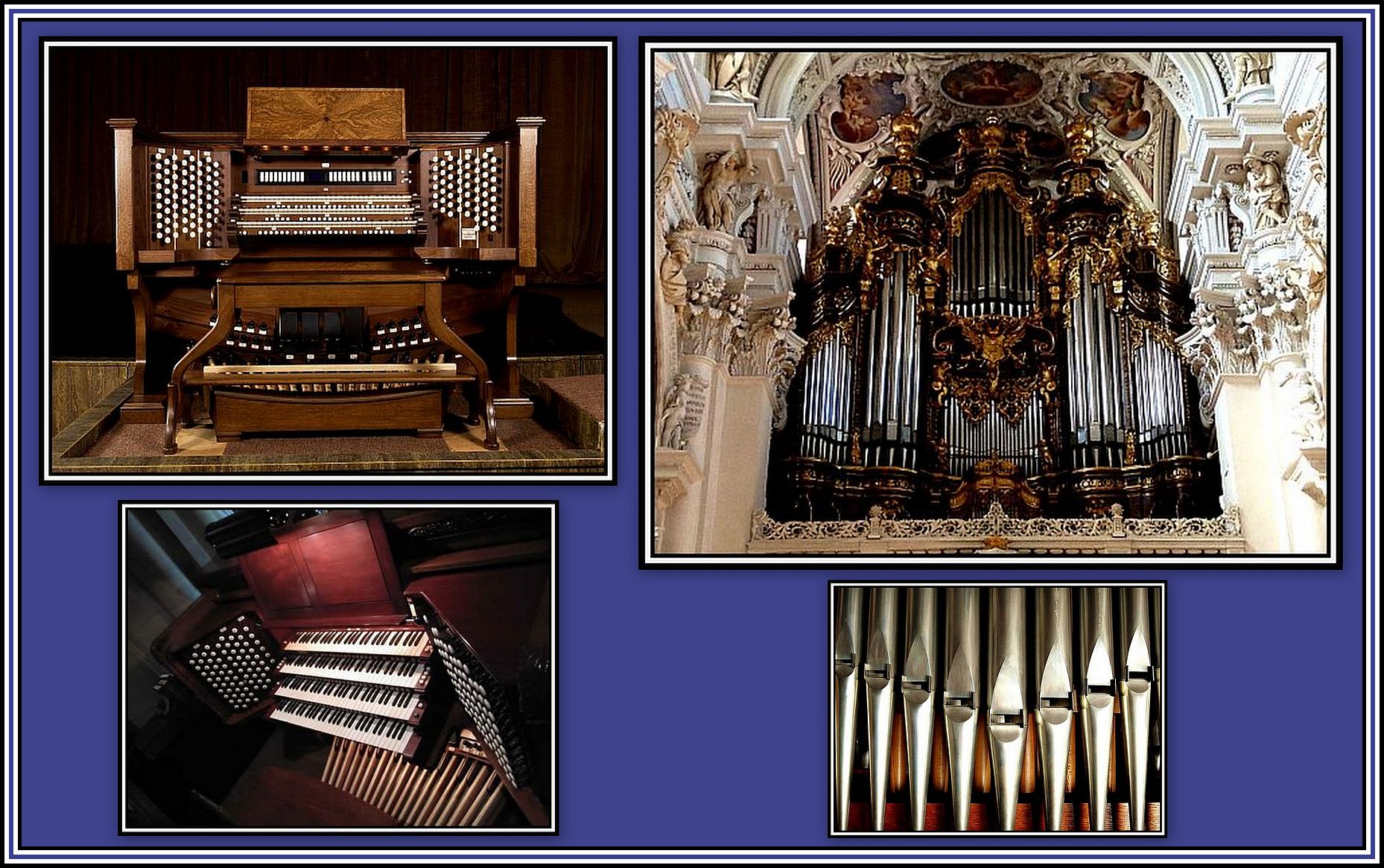 Самой дорогой орган человек. Древний орган. Самый древний орган в мире.